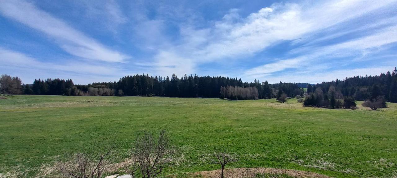 Apartman V Jame Cerna v Posumavi Bagian luar foto